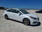 Sonata 2016