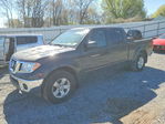 Nissan Navara (Frontier) 2010