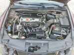 Honda Accord 2010