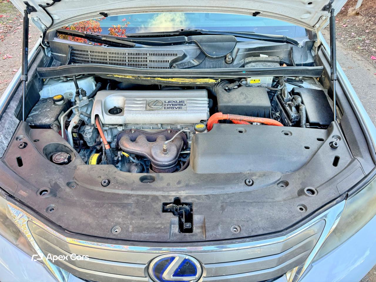 Lexus HS 2010