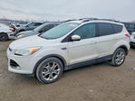 Ford Escape 2013