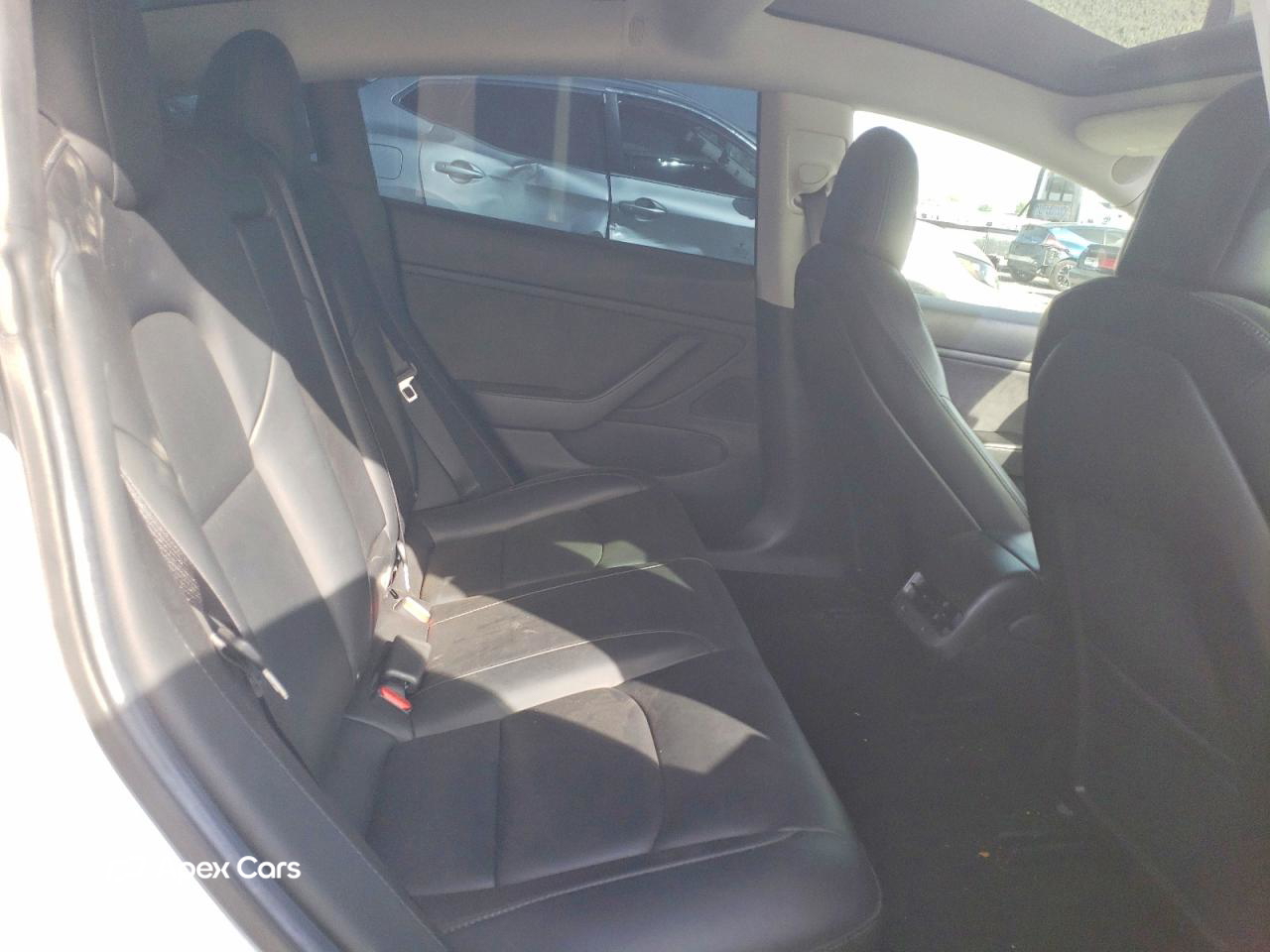 Tesla Model 3 2019