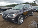 Lexus RX 2013