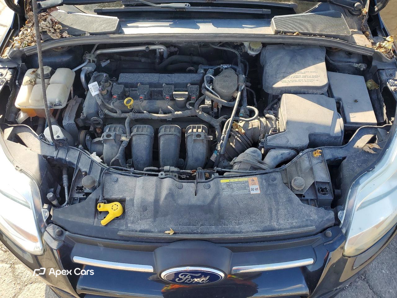 Ford Focus 2013