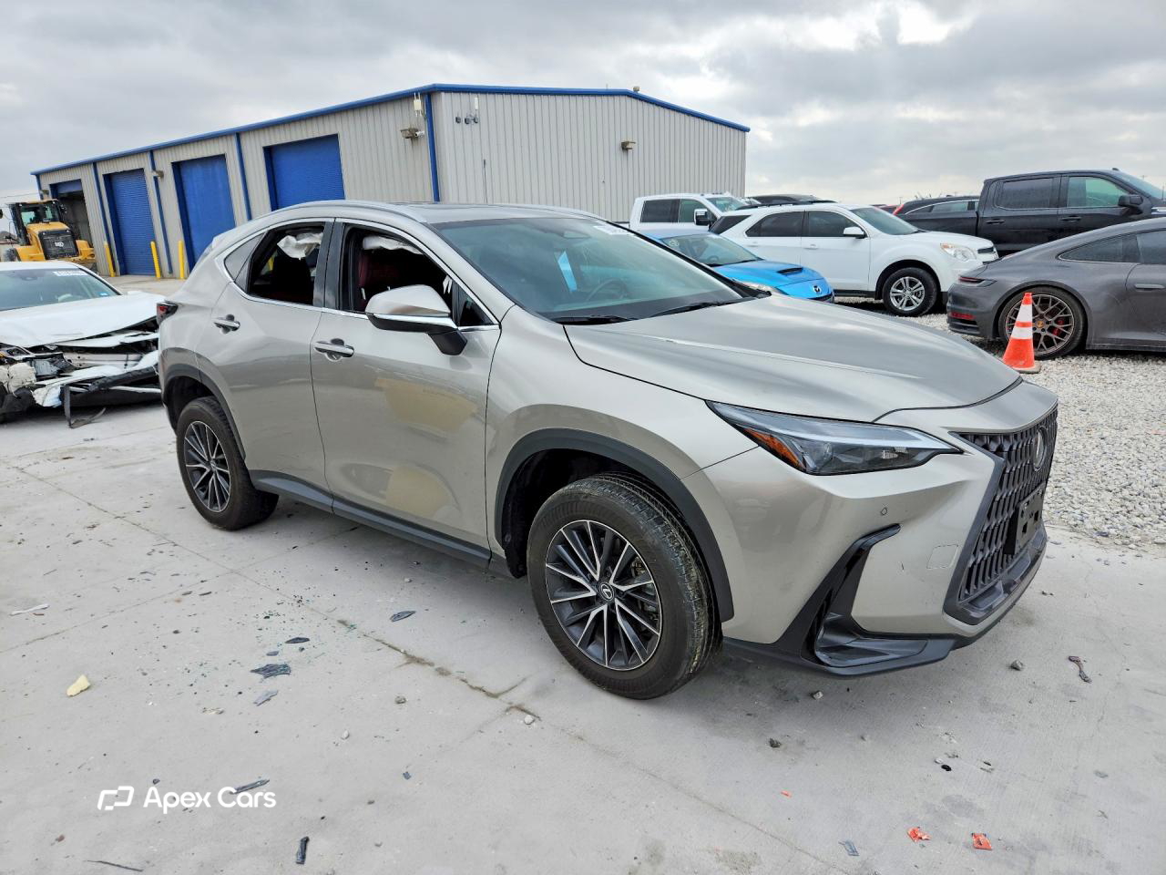Lexus NX 2024