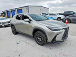 Lexus NX 2024
