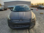 Ford Escape 2015