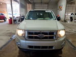 Ford Escape 2012