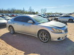 Nissan Maxima 2010
