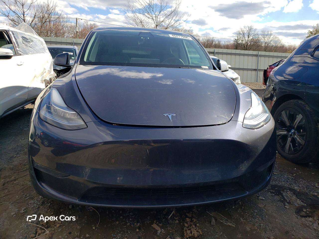 Tesla Model Y 2021