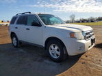 Ford Escape 2009