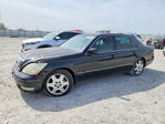 Lexus LS 2004