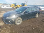 Hyundai Sonata 2019