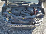 Ford C-MAX 2013