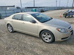 Chevrolet Malibu 2012