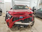 Toyota RAV 4 2020