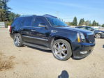 Cadillac Escalade 2007
