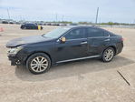 Lexus ES 2010