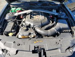 Ford Mustang 2011
