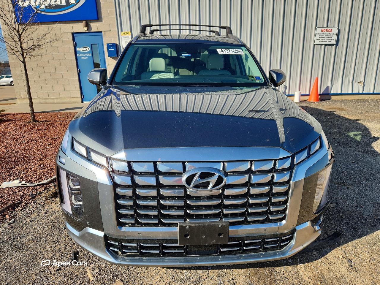 Hyundai Palisade 2024