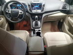 Ford Escape 2013