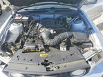 Ford Mustang 2007