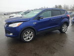 Ford Escape 2013