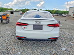 Audi RS5 2024