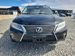 Lexus RX 2013