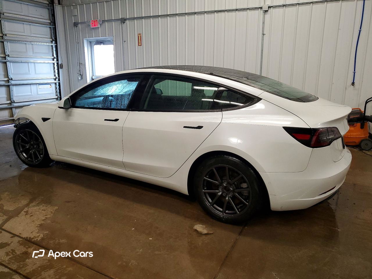 Tesla Model 3 2019