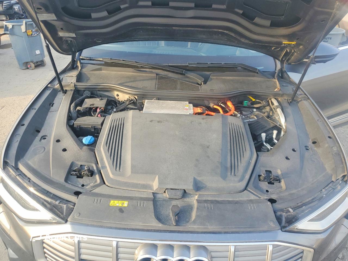Audi e-tron 2019