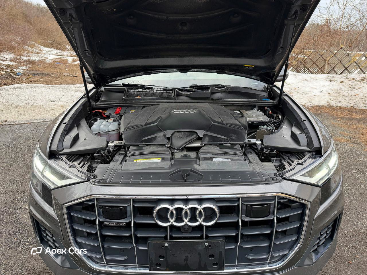 Audi Q8 2019