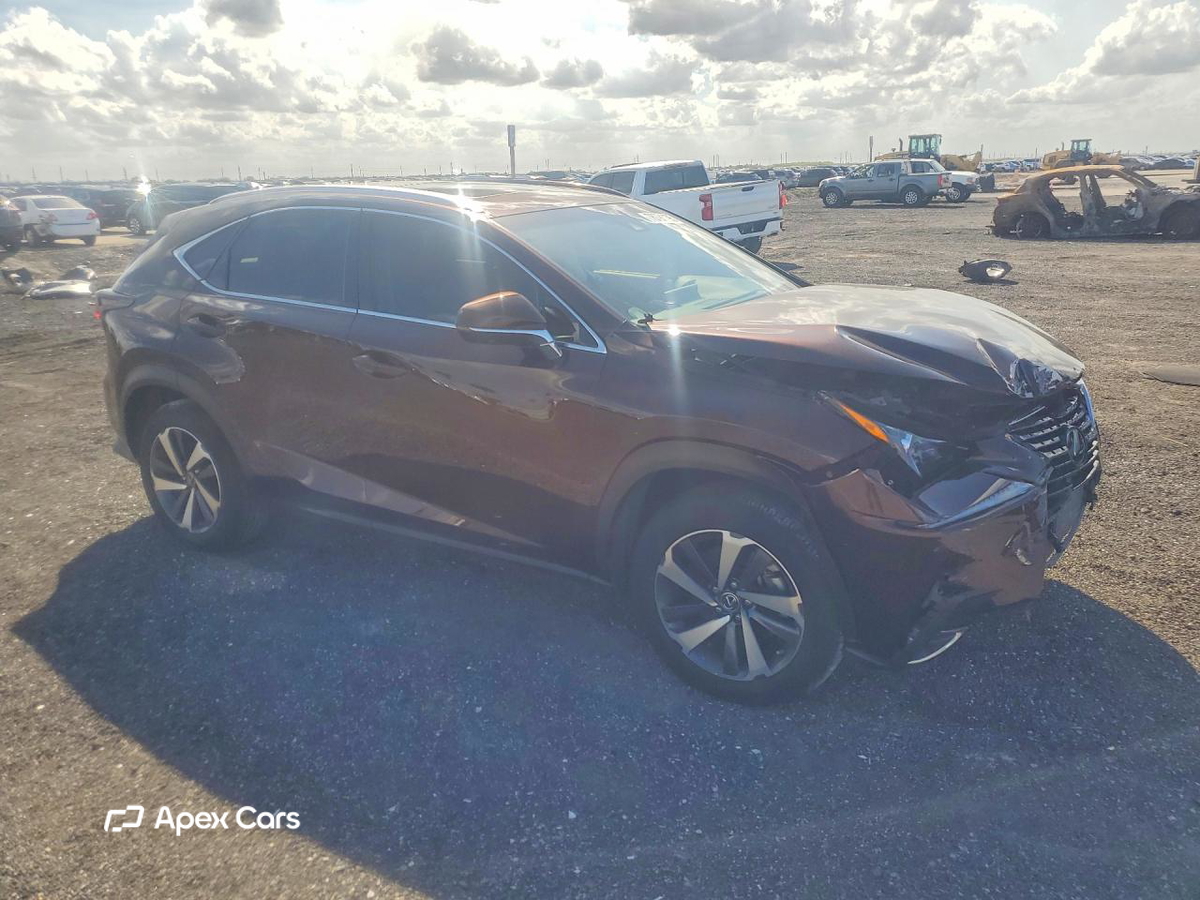 Lexus NX 2019