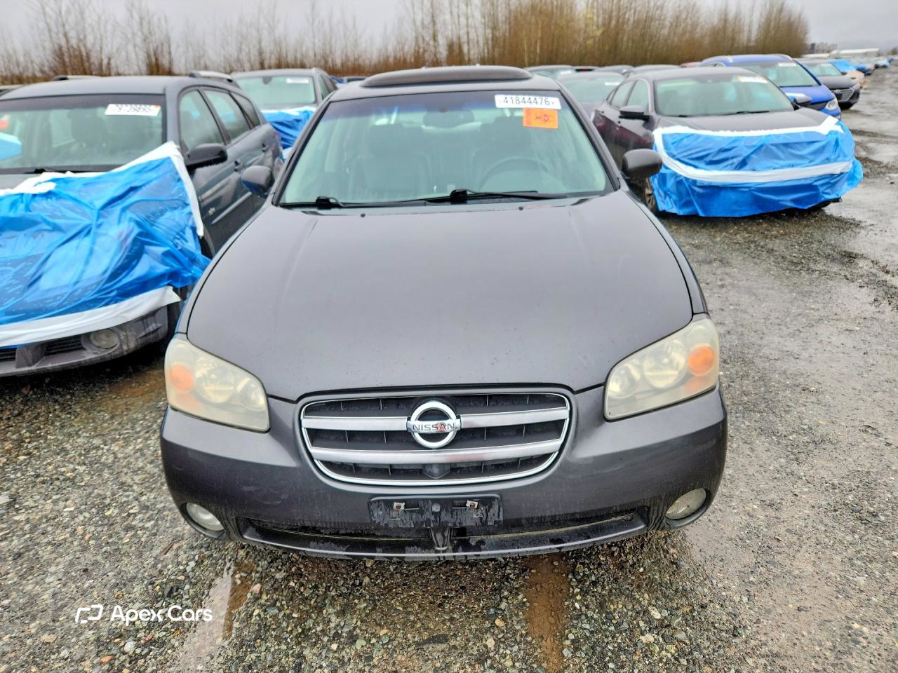 Nissan Maxima 2003