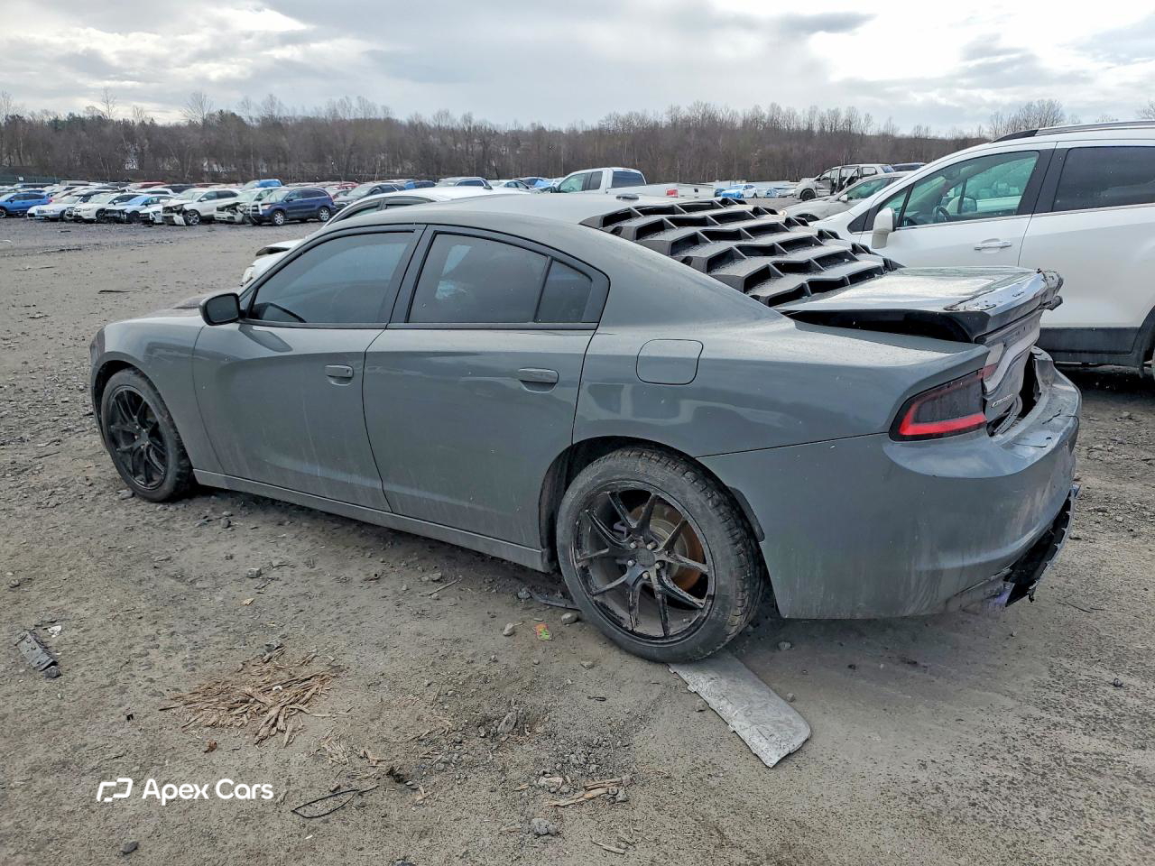 Dodge Charger 2019