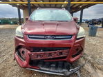 Ford Escape 2014