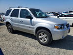 Ford Escape 2005