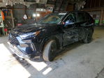 Toyota RAV 4 2024