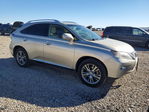 Lexus RX 2013