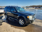 Ford Escape 2011