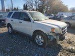 Ford Escape 2012