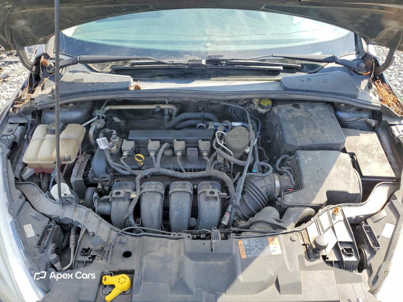 Ford Focus 2015