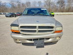Dodge Durango 2001