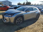 Lexus UX 2019