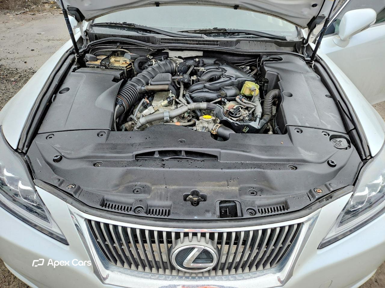 Lexus IS 2010