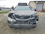 Kia Sorento 2013