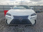 Lexus NX 2018