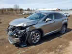 Lexus RX 2019