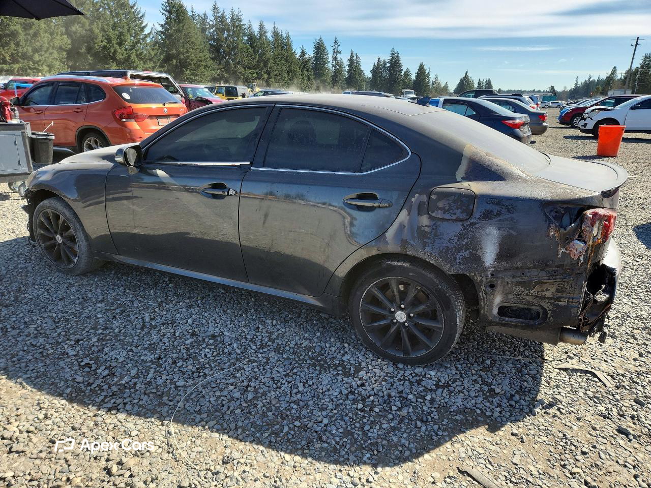 Lexus IS 2009