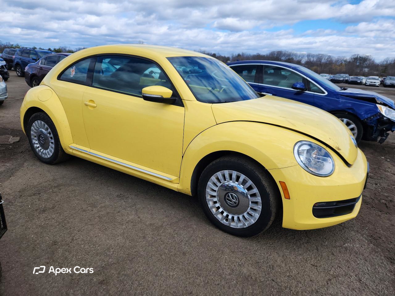Volkswagen Beetle 2013